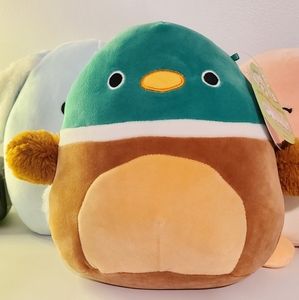 Avery the Mallard Duck Squishmallow 8 inch NWT